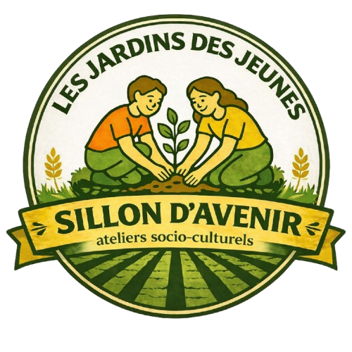 Jeunes en transition